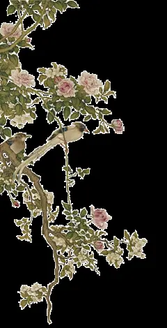 满池王八，我命最长