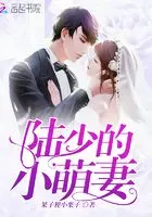 一纸薄婚：陆先生，后会无妻