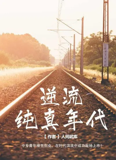 重生之逆流岁月