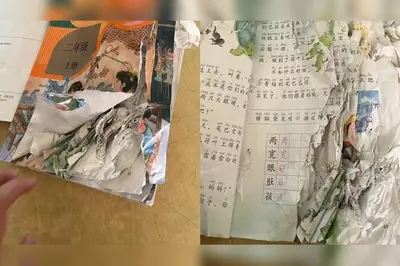 储备粮们破壳了