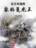 霹雳之吾乃燹王