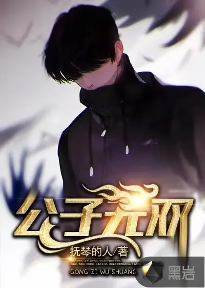 红楼之公子无双