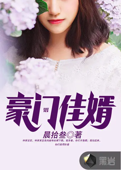 上门佳婿