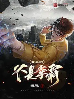 我真的不是大师啊