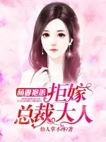 总裁的萌心暖妻