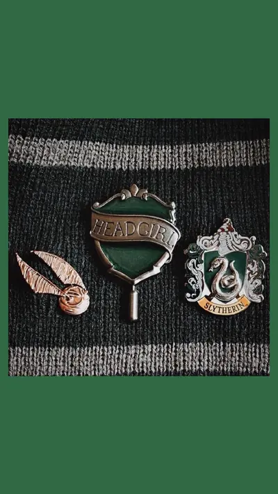 荣耀归于斯莱特林