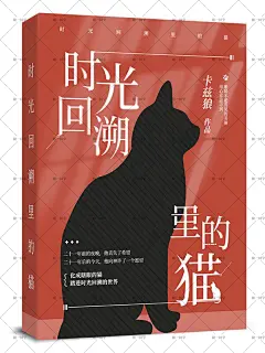 小猫也爱海风与月光