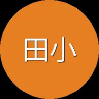田小姐